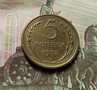 5 копеек 1955. До 25.10.22 в 22.00 - 20221021_133746