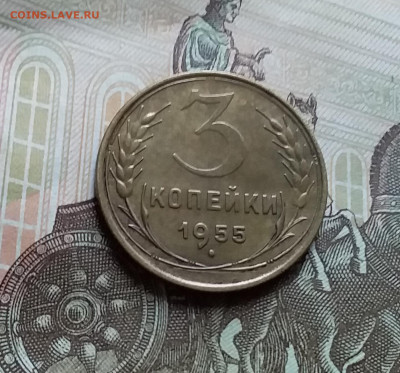 3 копейки 1955. До 25.10.22 в 22.00 - 20221021_154926