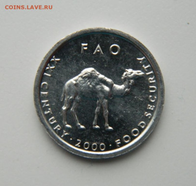 Сомали 10 шиллингов 2000 г.(Юбилейная) Фауна до 27.10.22 - DSCN3339.JPG