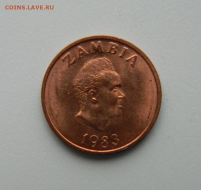 Замбия 1 нгве 1983 г. (Фауна) до 27.10.22 - DSCN3439.JPG