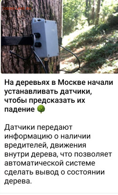 делает - прямо сейчас !!! - Screenshot_20221022-224444_Telegram