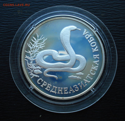 1 рубль 1994 Среднеазиатская кобра. Ag900  до 27.10.22 - DSC05480.JPG