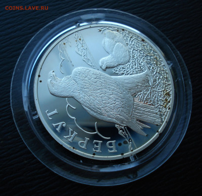 1 рубль 2002 Красная Книга Беркут. Ag900 до 27.10.22 - DSC05499.JPG