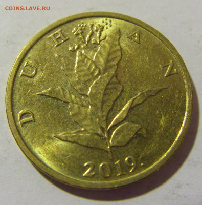10 липа 2019 Хорватия №1 29.10.2022 22:00 М - CIMG6577.JPG
