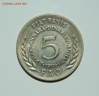 Югославия 5 динаров 1970 г. (Юбилейная) ФАО до 27.10.22 - DSCN0280.JPG