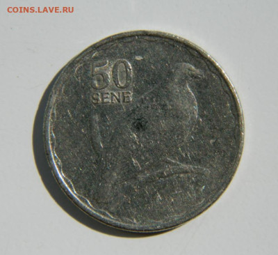 Самоа 50 сене 2011 г. (Фауна) до 27.10.22 - DSCN0754.JPG