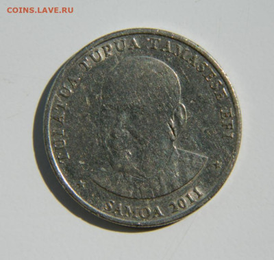 Самоа 50 сене 2011 г. (Фауна) до 27.10.22 - DSCN0755.JPG