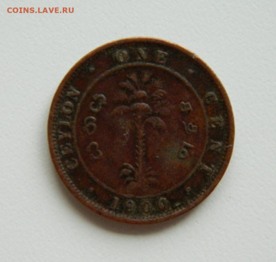 Британский Цейлон 1 цент 1900 г. до 31.10.22 - DSCN2763.JPG