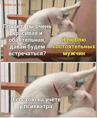 юмор - Screenshot_20221025-230718_Instagram