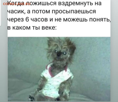 юмор - Screenshot_20221026-064235_Instagram