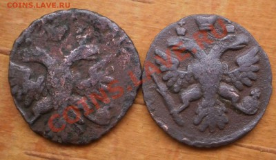 полушка 1740,41 г.до2.12.11.в22-00мск. - PB300295.JPG