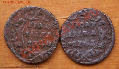 полушка 1740,41 г.до2.12.11.в22-00мск. - PB280263.JPG