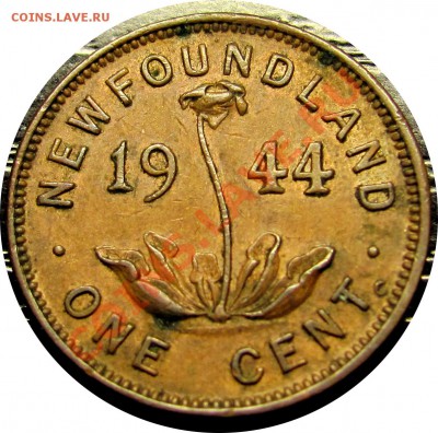 E55 1¢ Ньюфаундленд 1944 до 07.12 в 22°° - E55 NFLD 1944 1C_1