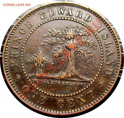 E56 Остров Принца Эдуарда 1¢ 1871 VF до 07.12 в 22°° - E56 PEI 1871_2