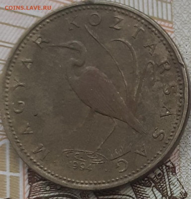 монеты разные, фикс , по 5р. До 3.11.2022. - 20221026_185545