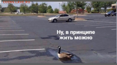 юмор - Screenshot_20221028-171646_Instagram