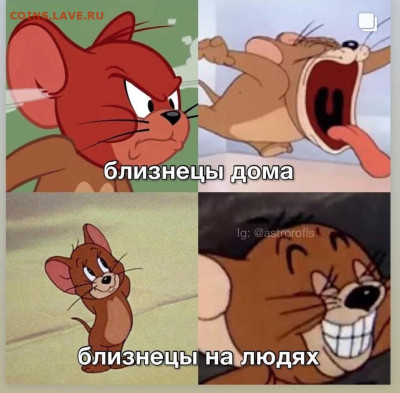юмор - Screenshot_20221028-165845_Instagram