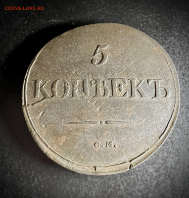 5 копеек 1831 см до 30.10.2022 - B311BA26-7D2C-40C8-9C90-C6B9C03F2744