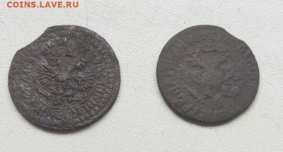 Две петровские денги 1707 - на оценку - Денга Петр 2