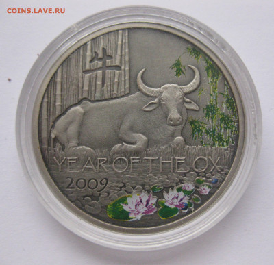 Монета Ниуэ 1 доллар 2008 Год Быка Серебро - IMG_3949.JPG