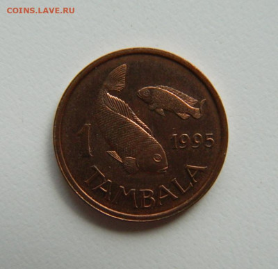 Малави 1 тамбала 1995 г. (Фауна) до 03.11.22 - DSCN3594.JPG