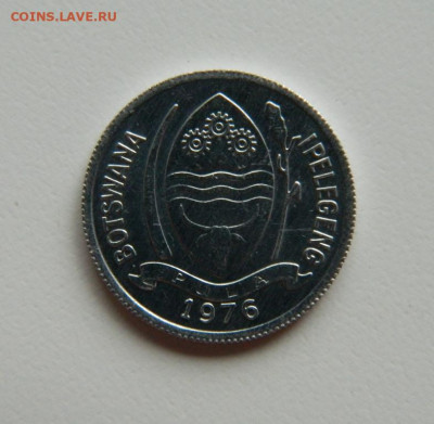 Ботсвана 1 тхебе 1976 г. (Фауна) до 03.11.22 - DSCN3579.JPG