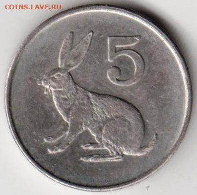 ЗИМБАБВЕ 5 центов 1997 г. до 05.11.22 г. в 23.00 - 049