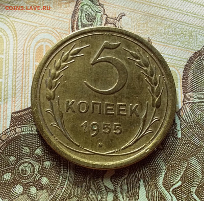 5 копеек 1955. До 3.11.22 в 22.00 - 20221030_140321