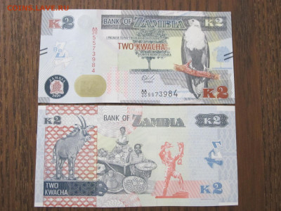 Замбия 2 квача 2020 UNC - IMG_0609.JPG