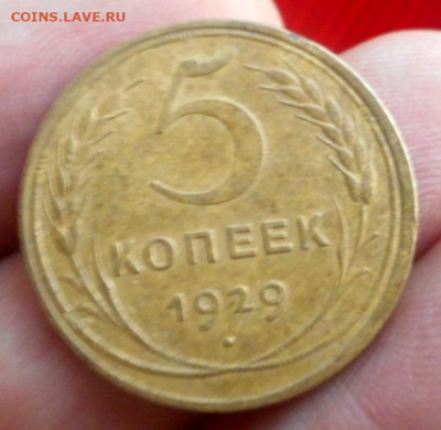 5 копеек 1929 г до 04.11.22 22-30 - 5-29
