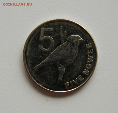 Замбия 5 нгве 2012 г. (Фауна) до 03.11.22 - DSCN3720.JPG