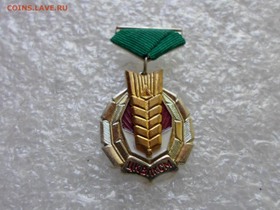 ЦК ВЛКСМ Золотой колос ММД - SAM_1363.JPG