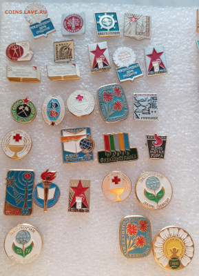 Знаки знаменательные дни до ухода в архив - IMG_20221031_163215