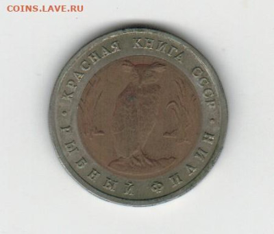 рыбный филин кк91 с 199 до 09.11.2022 22.00 - 2022-11-03_004