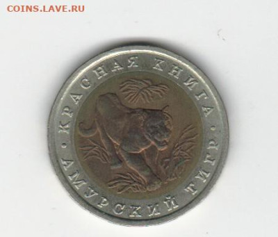 №1 92кк амурский тигр  до 09.11.2022 22.00 - 2022-11-03_002