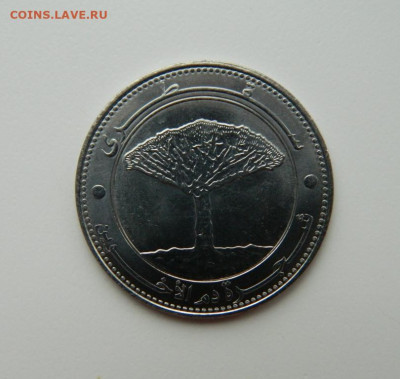 Йемен 20 риалов 2006 г. (Крупная) до 08.11.22 - DSCN4000.JPG