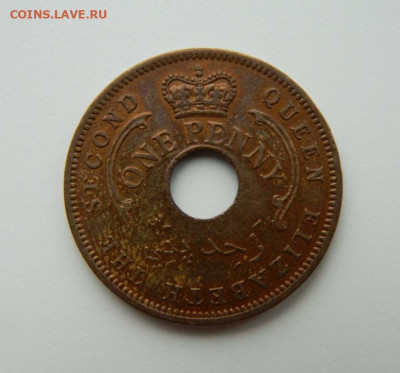Британская Нигерия 1 пенни 1959 г. до 08.11.22 - DSCN3954.JPG