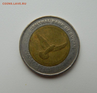 Судан 50 пиастров 2006 г. (БИМ) Фауна до 08.11.22 - DSCN4053.JPG