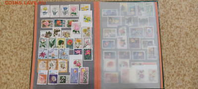 Марки СССР, Болгарии, Вьетнама, Кубы, в альбоме СССР. - IMG_20221103_180315_thumb