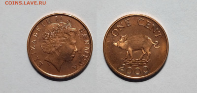 Бермудские острова 1 цент 2000 года - 7.11 - IMG_20221102_071312