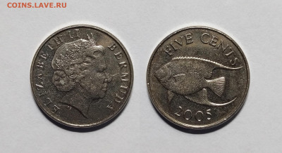 Бермудские острова 5 центов 2005 года - 7.11 - IMG_20221102_071352