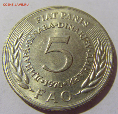 5 динар 1970 ФАО Югославия №2 12.11.2022 22:00 МСК - CIMG7595.JPG