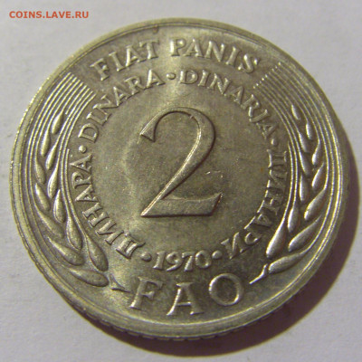 2 динара 1970 ФАО Югославия №2 12.11.2022 22:00 МСК - CIMG7603.JPG