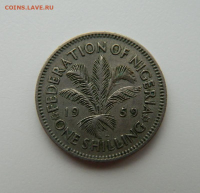 Британская Нигерия 1 шиллинг 1959 г. до 10.11.22 - DSCN4009.JPG