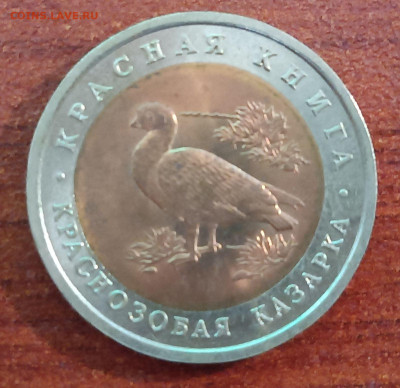 Красная книга. 10 руб 1992г. Краснозобая казарка с 200 - Казарка