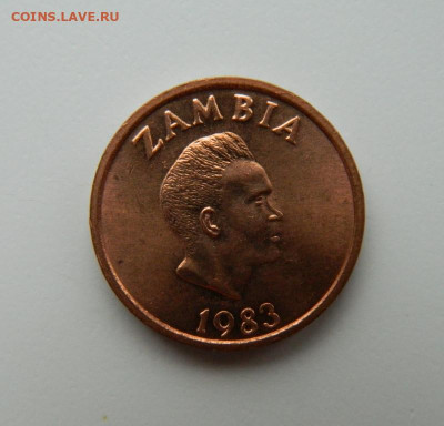 Замбия 2 нгве 1983 г.(Фауна) до 10.11.22 - DSCN4050.JPG