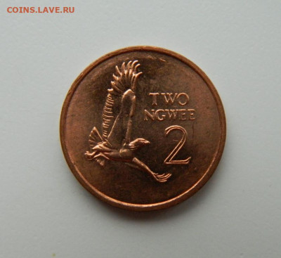 Замбия 2 нгве 1983 г.(Фауна) до 10.11.22 - DSCN4051.JPG