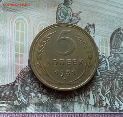 5 копеек 1931. До 12.11.22 в 22.00 - 20221107_144818