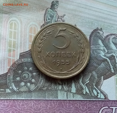 5 копеек 1955. До 12.11.22 в 22.00 - 20221107_151712
