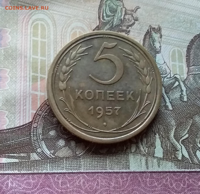 5 копеек 1957. До 12.11.22 в 22.00 - 20221107_152435